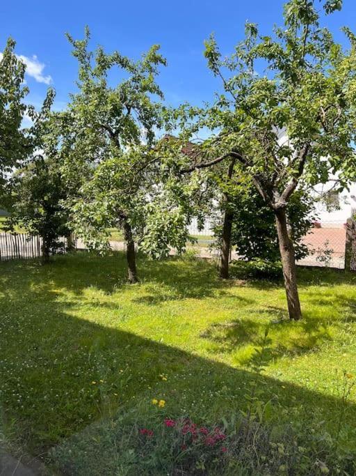 Wunderschoene Wohnung In Perfekter Lage Hilpoltstein Exteriér fotografie